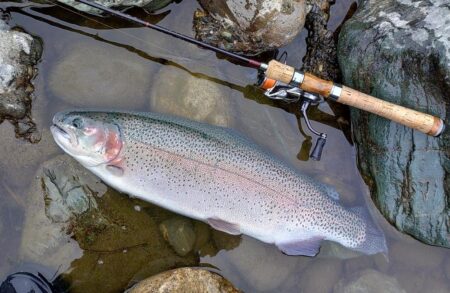 出遅れで苦戦　～天竜川ルアーフライテンカラ専用区～